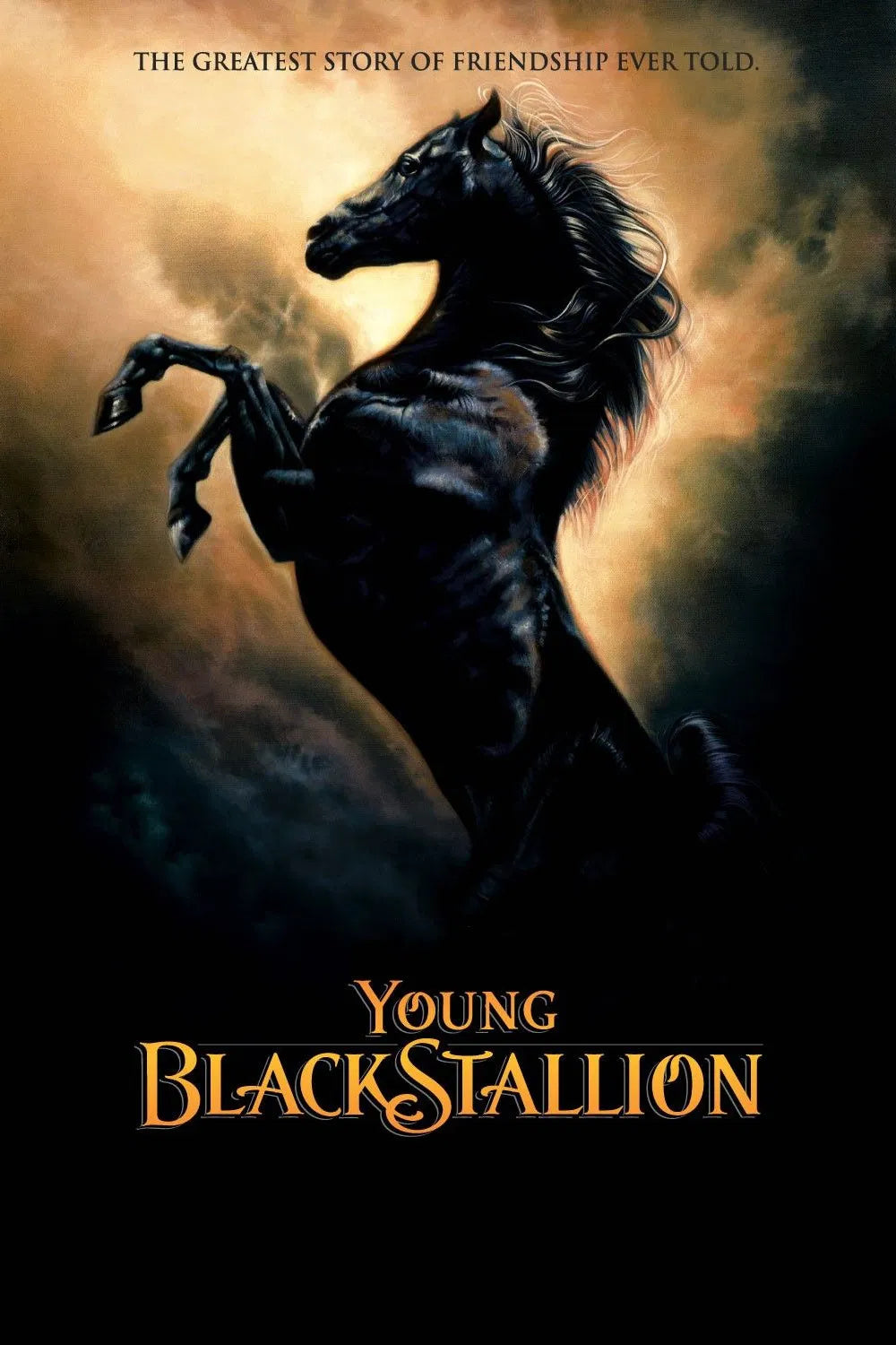 The Young Black Stallion (2003)